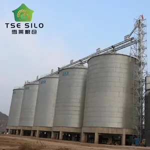 Silo en acier à fond plat de stockage de grains 5000T