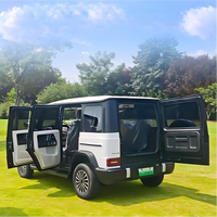 Vehículo Eléctrico de 4 Ruedas, Auto Eléctrico con Tracción en las 4 Ruedas, Scooter Eléctrico de Cuatro Ruedas, Mini Auto Eléctrico de Baja Velocidad