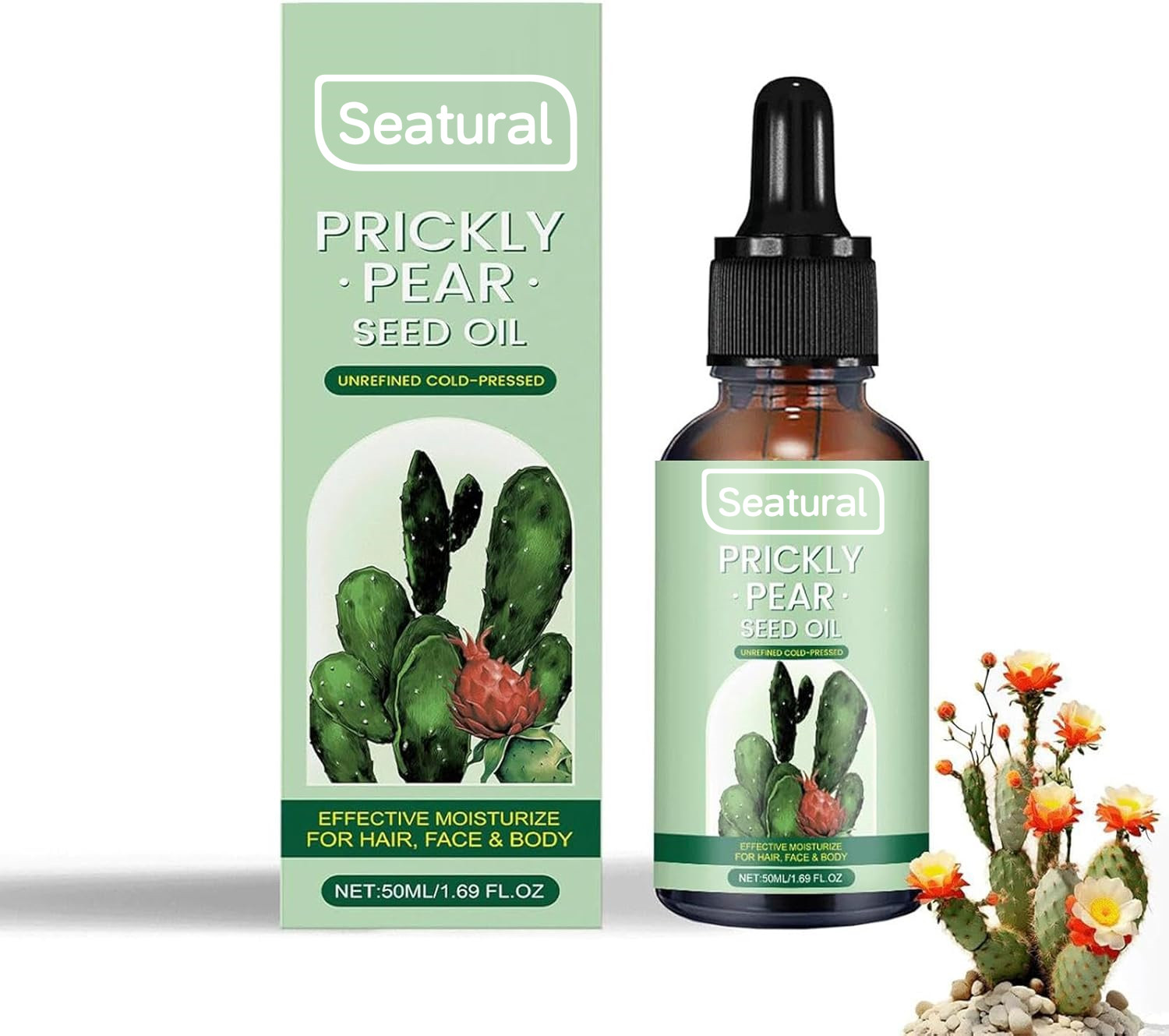 online kaktus Cutest Little Mini Cactus Pack | Live Cactus Assorted Pack for Sale Online main image 1