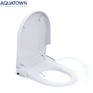 Asiento de <span class=keywords><strong>inodoro</strong></span> bidé inteligente manual no eléctrico con presión de agua ajustable, agua fría y doble boquilla, económico - Product Image 1