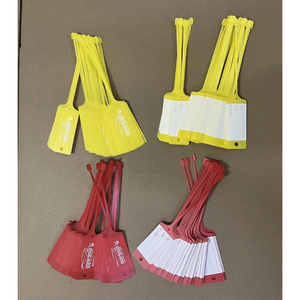 Étiquettes de clés en plastique multicolores vierges avec anneau fendu, étiquettes d'identification de clés à inscrire pour le marquage des noms de bagages - Product Image 4