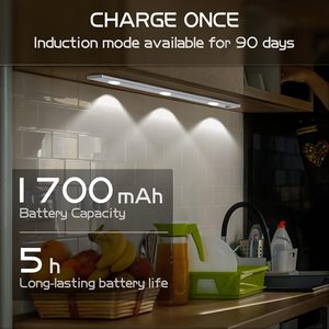 Vente en gros de lampes à LED à détecteur de mouvement de 40 cm pour armoire, placard, cuisine, chambre à coucher, éclairage sous l'armoire - Product Image 2