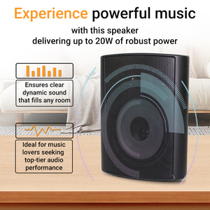 Loa thụ động chuyên nghiệp gắn tường trong nhà chất lượng ổn định 124B 5 inch 30W - Product Image 2