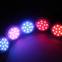 Luz LED de punto de píxel RGB de 24 V para exteriores, tipo rueda de la fortuna, para feria, E14, 50 mm, 12 LED SMD5050 RGB, UCS1903, UCS2903