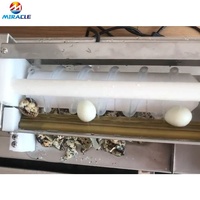 Machine à décortiquer les œufs de caille à petit prix, pour œufs de caille durs cuits