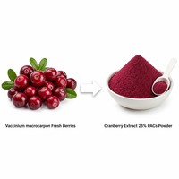 Extrait de canneberge en vrac LCHBIO 25% PACs DMAC soluble dans l'eau, poudre de boisson fonctionnelle naturelle pour la santé des voies urinaires féminines