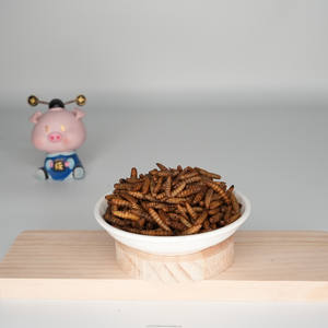 Larva Lalat Tentara Hitam yang Diangkutkan Secara Alami - Tanpa Bahan Tambahan, Pilihan Lebih Sehat, Perhatikan Pertumbuhan Hewan Peliharaan Anda dengan Jelas - Product Image 2