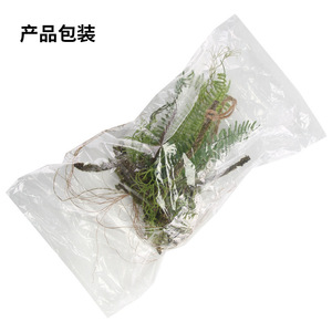 Plante artificielle Binrui, plante araignée en soie de 75 cm, verdure suspendue pour la décoration intérieure et les accessoires extérieurs - Product Image 2