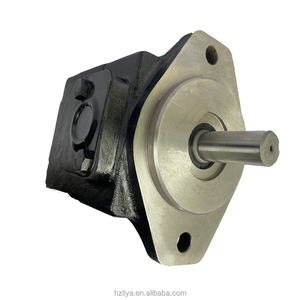 Bomba de paletas T6C-028-1R00-B1 T6C-028-2R01-B1 T6C-031-1R00-B1 T6C-031-1R03-B1: Modelos de la serie T6C completos - Product Image 1