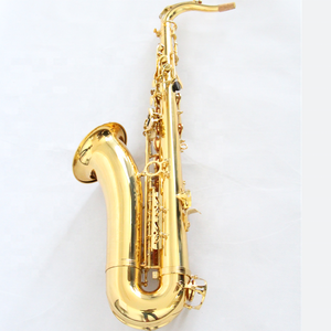 L'alta qualità <span class=keywords><strong>sassofono</strong></span> tenore Woodwind strumento modello oro FTS-100 tenore <span class=keywords><strong>sassofono</strong></span> professionale con <span class=keywords><strong>sassofono</strong></span> tenore cassa - Product Image 2
