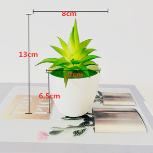 Planta Suculenta Artificial Qi Xing en Maceta de 13 cm, PVC Suave, Decoración para el Hogar - Product Image 2