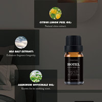Diffuseur de parfum professionnel pour chambre d'hôtel, huile essentielle 100 ml, parfum longue durée, végétalien, naturel, marque privée, OEM, vente en gros