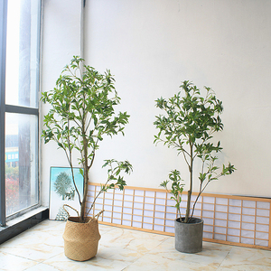 Arbre artificiel en plastique Dongguan Dream Castle Simulated Pieris, 100-200 cm, pour décoration intérieure - Product Image 4