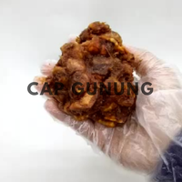 Pâte de graines de tamarin brun naturel, sucré-acide, 100% haute qualité, 500 grammes, durée de conservation de 2 ans, usage alimentaire, Indonésie, Cap Gunung