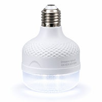 Lampe de camping d'urgence à commande tactile haute puissance E27 30W, ampoule LED rechargeable pour plafond, AC85V-265V IP54 6500K blanc froid