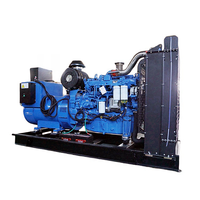 Groupe électrogène diesel 50Hz 300kW extérieur 375kVA DG avec moteur CCEC NTA855-G2A 1500 tr/min ATS AVR pour l'irrigation agricole