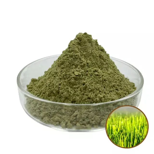 Di alta qualità puro orzo erba piantina succo in polvere cas 9-56100-3
