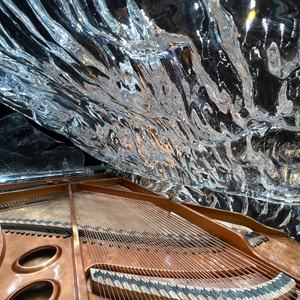 <span class=keywords><strong>Pianoforte</strong></span> a Coda in Acrilico Trasparente di Alta Gamma per Sale Matrimoni e Banchetti - Product Image 2