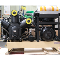Compresor de Aire de Pistón AIRHORSE de Alta Presión y Refuerzo de 11KW 15KW 18.5KW 22KW 30bar 40bar para Soplado de Botellas y Corte por Láser