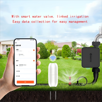 Capteur d'humidité et de température du sol sans fil, moniteur de sol intelligent Zigbee pour l'agriculture, les serres, les jardins domestiques