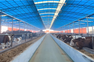 Nave Agrícola y Establos Prefabricados <span class=keywords><strong>de</strong></span> Estructura <span class=keywords><strong>de</strong></span> Acero Ligero con Servicios <span class=keywords><strong>de</strong></span> Soldadura y Corte, Instalación Rápida, Color Personalizado - Product Image 4