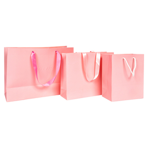 Luxury Ribbon Xử Lý Boutique Shopping Bao Bì Tùy Chỉnh In Euro Túi Quà Tặng Giấy Với Logo - Product Image 3