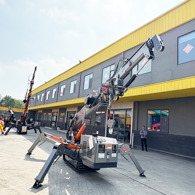 Tonlita Telescopic Boom Hydraulic Remote Control Compact Crawler Mini Arm Installation Portable Spider Crane Europe Wirh Fly Jib