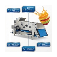 Automatische industriële sappersmachine voor geperste appel, peer, ananas, guave; geschikt voor sap- en drankenproductiefabrieken