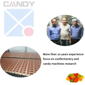 Factory Automatic Gelatin Gummy Machine Gummy Making Machine