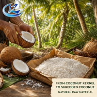 Noix de coco râpée de qualité alimentaire, flocons de noix de coco naturels, noyau de noix de coco, marque RENZE, durée de conservation de 12 mois pour la pâtisserie
