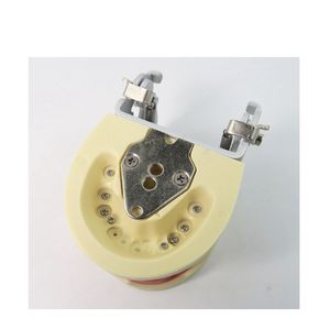 Étude dentaire modèle standard pour enfant modèle de dents primaires 24 pièces dents gomme molle - Product Image 6