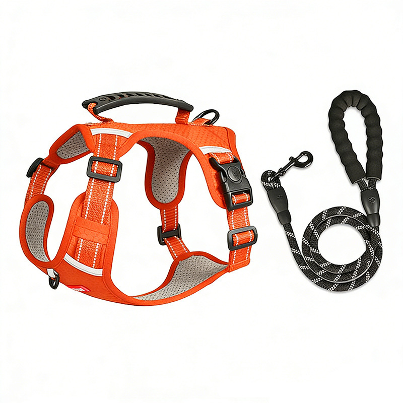 Orange [sangle réfléchissante de 1,5 m pour la poitrine et le dos]