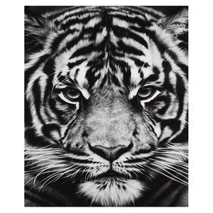 5D DIY taladro completo cuadrado/redondo diamante pintura "gato Tigre" animales <span class=keywords><strong>punto</strong></span> <span class=keywords><strong>de</strong></span> <span class=keywords><strong>cruz</strong></span> decoraciones para el hogar Regalo <span class=keywords><strong>De</strong></span> vacaciones Kits <span class=keywords><strong>de</strong></span> herramientas gratis - Product Image 1