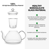 Teko Teh Kaca dengan Infuser Kaca 800ml / 27.33oz, Terbuat dari Kaca Borosilikat Bening untuk Teh Daun Terurai, Teh Mekar, Rumah, dan Kafe