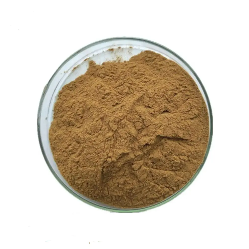 Materia prima naturale per la cura della salute eleutherococcus senticosus estratto di Ginseng siberiano in polvere