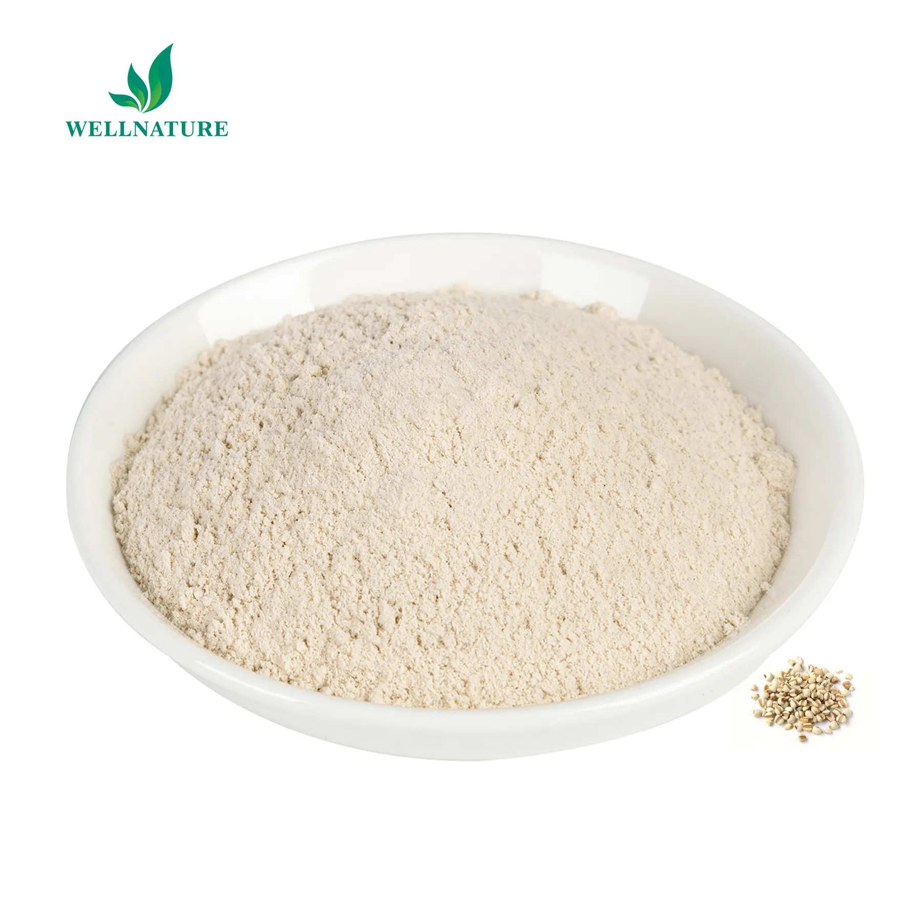Wholesale Price Semen Coicis Extract Pure Natural 10:1 Coix Seed Extract Powder