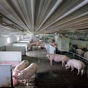 Allevamento di suini da costruzione prefabbricati - Product Image 6
