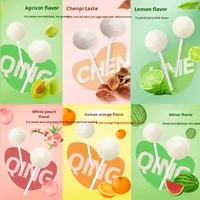 Assortiment de bonbons durs sans sucre à la vitamine C de 60 g avec des saveurs de mandarine, prune verte, lime et menthe, boîte cadeau pour collations