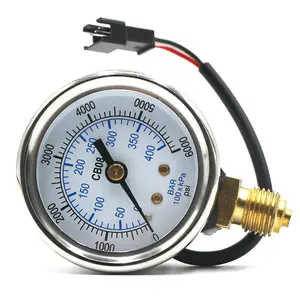 CNG Sensor Auto Auto Lpg Gasdruck messer Edelstahl Cng Manometer für Erdgas
