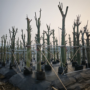 HOKBG Anti-UV duradero 125 <span class=keywords><strong>litros</strong></span> PP tejido <span class=keywords><strong>de</strong></span> plástico grande plantación <span class=keywords><strong>de</strong></span> árboles tejido transpirable bolsas <span class=keywords><strong>de</strong></span> cultivo con asas <span class=keywords><strong>de</strong></span> eslingas - Product Image 4