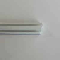 Tube en silicone de bordure de lumière néon led flexible personnalisé de décoration d'ambiance de festival vente en gros