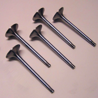Válvula de Motor de Admisión y Escape para ATV, para TGB Target 550 EFI IRS Asiawing LD450 450cc Dinli 700 Centhor Keeway TX 50 125 150 200