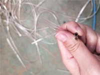 Machine d'extrusion de tuyaux en plastique, ligne de fabrication d'oxygène, de PVC, livraison gratuite