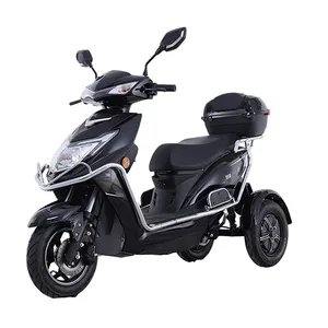 China Dealer 3 Wheel Haley Moto 48V 12A Tricycle Three Wheeler Citycoco Motorcycle Electric Trike Scooter Adult With Pedal