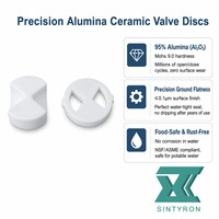 Pièces en céramique industrielle SINTYRON, disque en céramique d'alumine pour robinets, tailles personnalisables, haute précision
