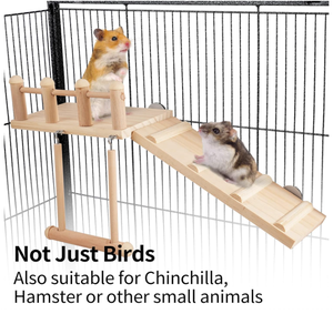 Columpio de plataforma de Hábitat de Aves de venta directa de fábrica <span class=keywords><strong>con</strong></span> <span class=keywords><strong>escalera</strong></span>, accesorios de jaula de periquitos juego de madera gimnasio ejercicio resistente - Product Image 5