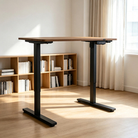 Bureau debout électrique à cadre métallique à 2 niveaux, ergonomique, réglable en hauteur, pour le bureau à domicile, poste de travail informatique