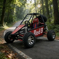 Go-Kart Todoterreno de Gasolina de 200cc, Vehículo Todoterreno de Cuatro Ruedas, Versión Monoplaza para Montaña y Selva