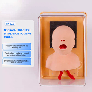 Simulateur professionnel d'intubation crânienne pour nouveau-nés pour la <span class=keywords><strong>réanimation</strong></span> néonatale BIX-J2A, simulateur grandeur nature pour la gestion des voies respiratoires pédiatriques - Product Image 6