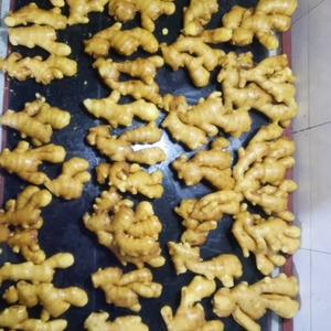 Trung Quốc trưởng thành siêu gừng chất lượng tốt nhất Đỏ/Vàng gừng Nhà cung cấp cung cấp gừng tươi xuất khẩu - Product Image 6